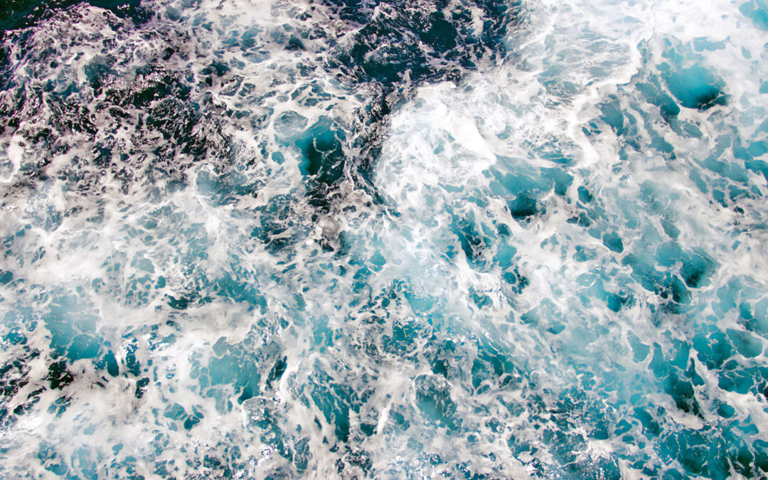 Turning the Tides of the Climate Talent Ecosystem, as Sea Change Advisors