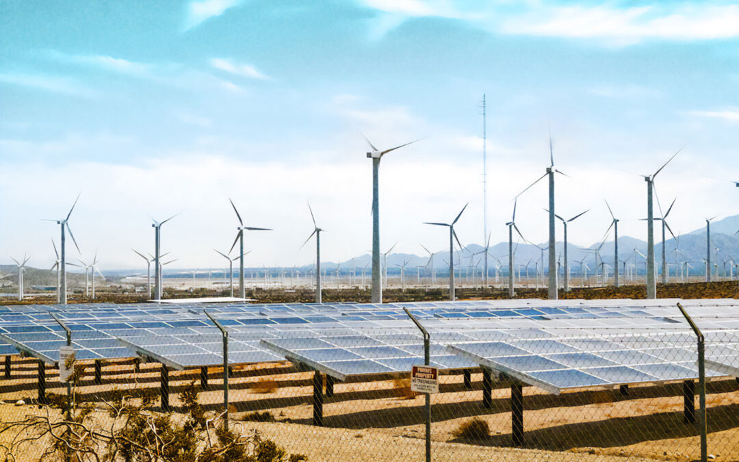 ‘Cleantech Cool’ Is Not Enough for Attracting Top Talent